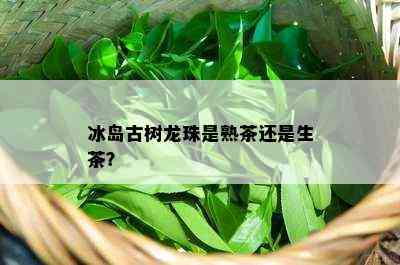 冰岛古树龙珠是熟茶还是生茶？