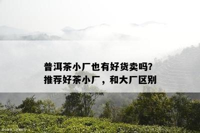 普洱茶小厂也有好货卖吗？推荐好茶小厂，和大厂区别