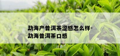 勐海产普洱茶涩感怎么样-勐海普洱茶口感