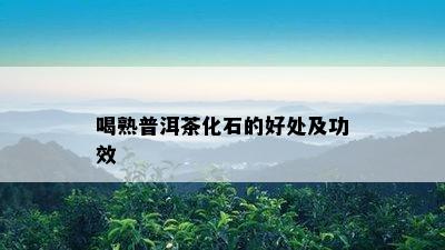 喝熟普洱茶化石的好处及功效