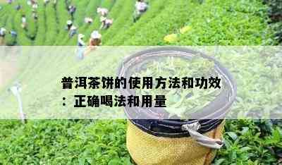 普洱茶饼的使用方法和功效：正确喝法和用量