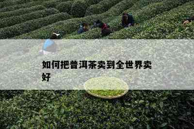 如何把普洱茶卖到全世界卖好