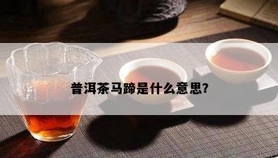 普洱茶马蹄是什么意思？