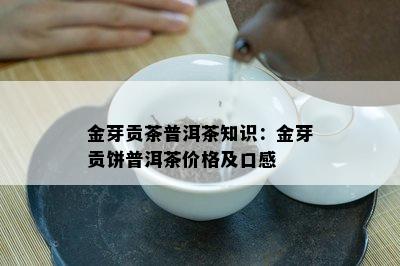 金芽贡茶普洱茶知识：金芽贡饼普洱茶价格及口感