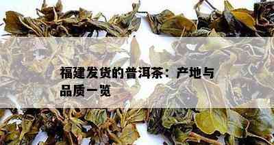 福建发货的普洱茶：产地与品质一览