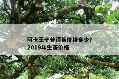 阿卡王子普洱茶价格多少？2019年生茶价格