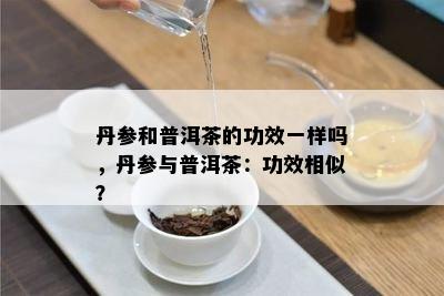 丹参和普洱茶的功效一样吗，丹参与普洱茶：功效相似？