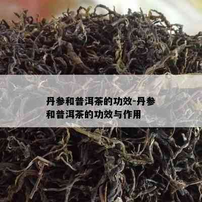 丹参和普洱茶的功效-丹参和普洱茶的功效与作用