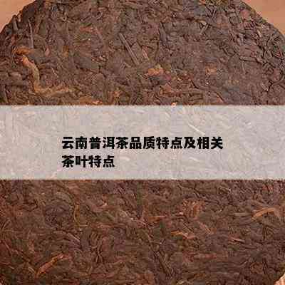 云南普洱茶品质特点及相关茶叶特点