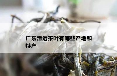 广东清远茶叶有哪些产地和特产