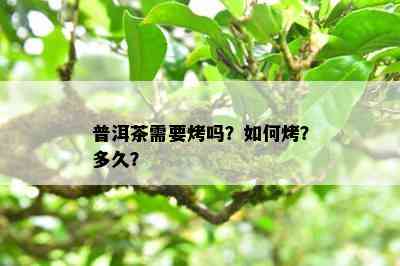 普洱茶需要烤吗？如何烤？多久？