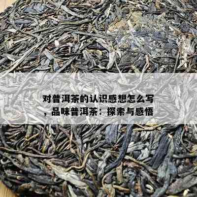 对普洱茶的认识感想怎么写，品味普洱茶：探索与感悟