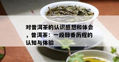 对普洱茶的认识感想和体会，普洱茶：一段醇香历程的认知与体验