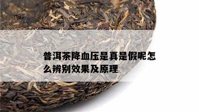 普洱茶降血压是真是假呢怎么辨别效果及原理