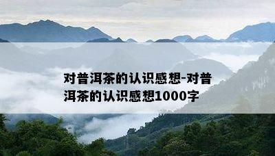 对普洱茶的认识感想-对普洱茶的认识感想1000字