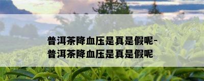 普洱茶降血压是真是假呢-普洱茶降血压是真是假呢