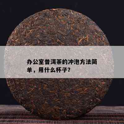 办公室普洱茶的冲泡方法简单，用什么杯子？