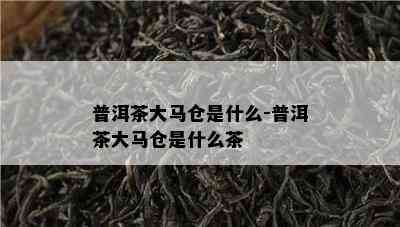 普洱茶大马仓是什么-普洱茶大马仓是什么茶