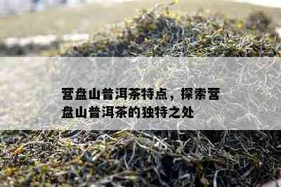 营盘山普洱茶特点，探索营盘山普洱茶的独特之处