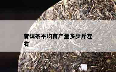 普洱茶平均亩产量多少斤左右