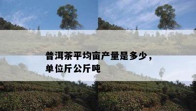 普洱茶平均亩产量是多少，单位斤公斤吨