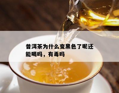 普洱茶为什么变黑色了呢还能喝吗，有吗