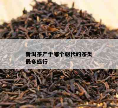 普洱茶产于哪个朝代的茶类最多盛行