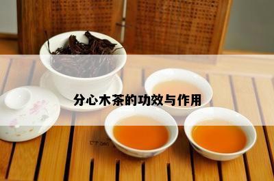 分心木茶的功效与作用