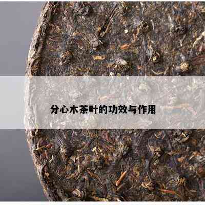 分心木茶叶的功效与作用