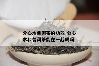 分心木普洱茶的功效-分心木和普洱茶能在一起喝吗