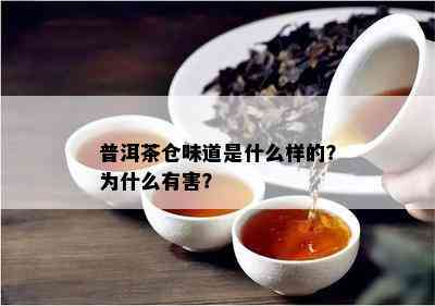 普洱茶仓味道是什么样的？为什么有害？