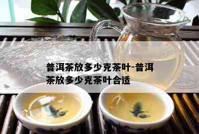 普洱茶放多少克茶叶-普洱茶放多少克茶叶合适