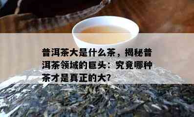 普洱茶大是什么茶，揭秘普洱茶领域的巨头：究竟哪种茶才是真正的大？