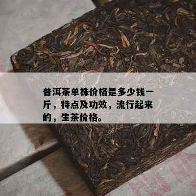 普洱茶单株价格是多少钱一斤，特点及功效，流行起来的，生茶价格。