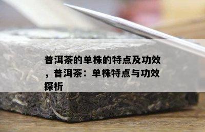 普洱茶的单株的特点及功效，普洱茶：单株特点与功效探析