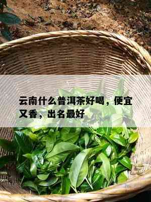 云南什么普洱茶好喝，便宜又香，出名更好