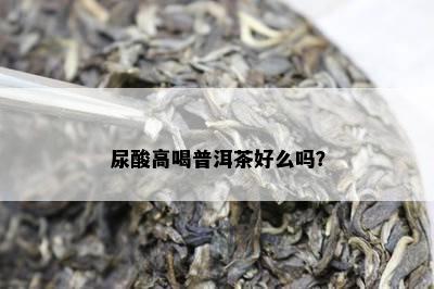 尿酸高喝普洱茶好么吗？