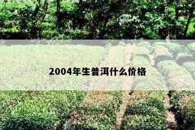 2004年生普洱什么价格