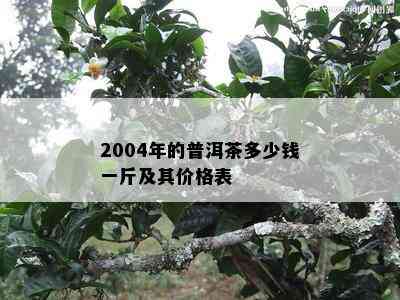 2004年的普洱茶多少钱一斤及其价格表