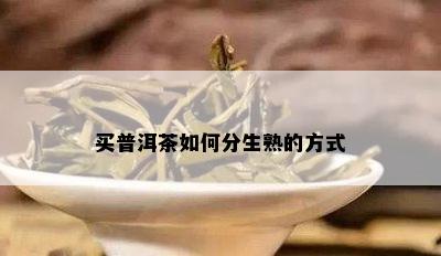 买普洱茶如何分生熟的方式