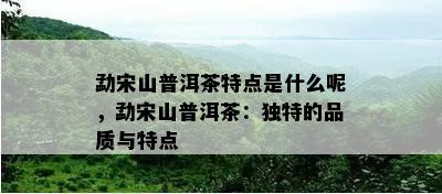 勐宋山普洱茶特点是什么呢，勐宋山普洱茶：独特的品质与特点