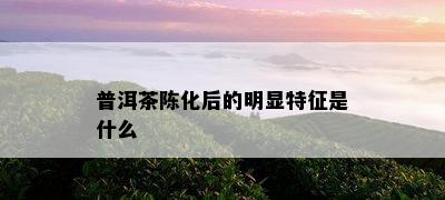 普洱茶陈化后的明显特征是什么