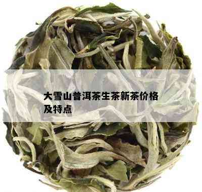 大雪山普洱茶生茶新茶价格及特点