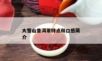 大雪山普洱茶特点和口感简介