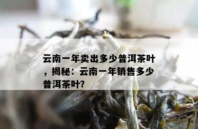 云南一年卖出多少普洱茶叶，揭秘：云南一年销售多少普洱茶叶？