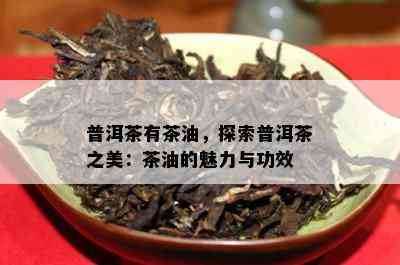 普洱茶有茶油，探索普洱茶之美：茶油的魅力与功效