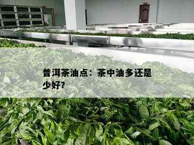 普洱茶油点：茶中油多还是少好？