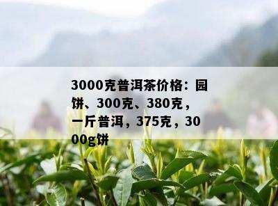 3000克普洱茶价格：园饼、300克、380克，一斤普洱，375克，3000g饼