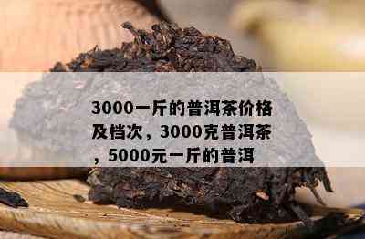 3000一斤的普洱茶价格及档次，3000克普洱茶，5000元一斤的普洱