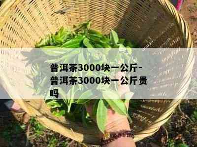 普洱茶3000块一公斤-普洱茶3000块一公斤贵吗